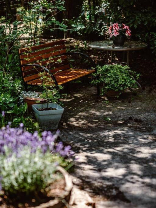 Forest Cottage With Lovely Garden & Sauna Doornspijk Exterior foto