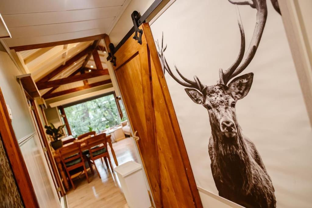 Forest Cottage With Lovely Garden & Sauna Doornspijk Exterior foto