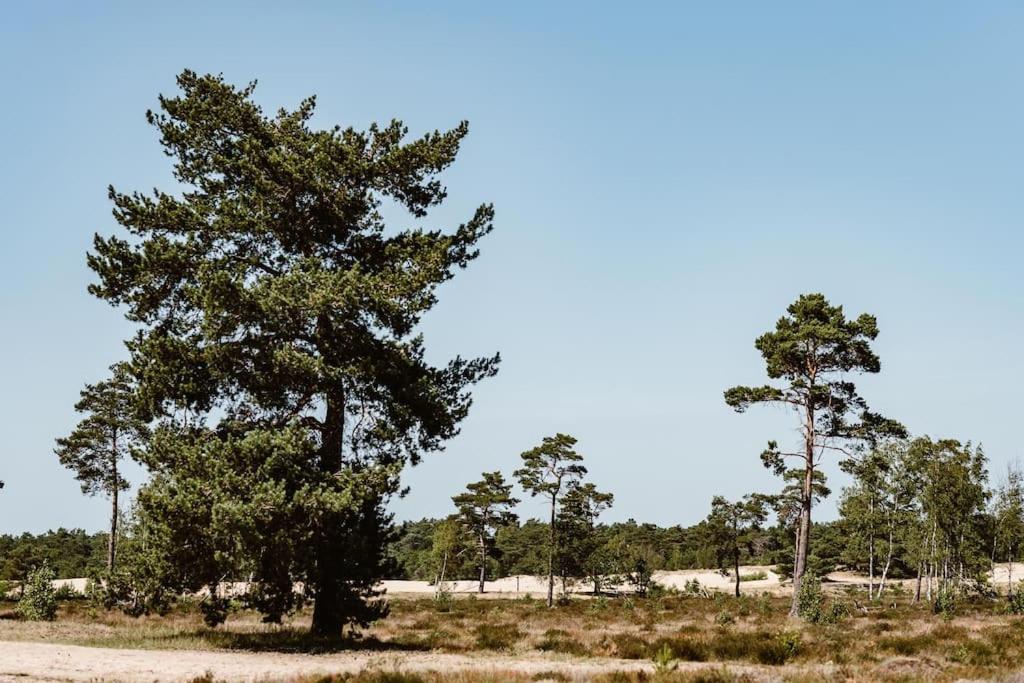 Forest Cottage With Lovely Garden & Sauna Doornspijk Exterior foto